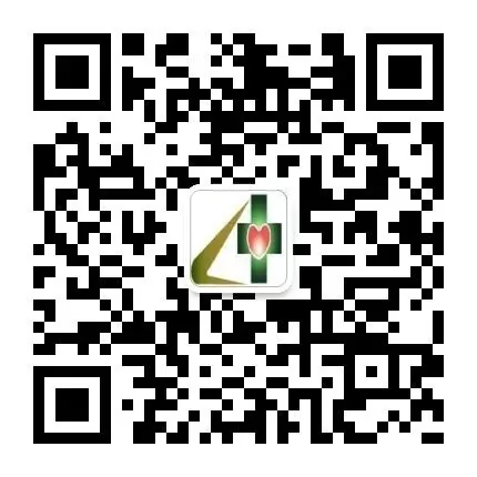 知动课程:在运动中发展认知与适应能力