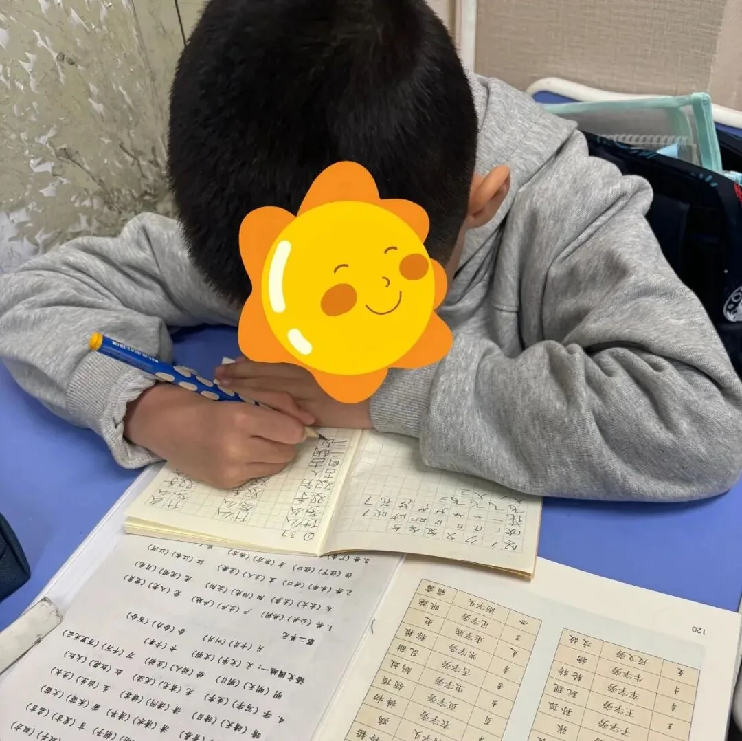 心心语训练手记:陪浩浩宝贝,收住小情绪,专注向成长
