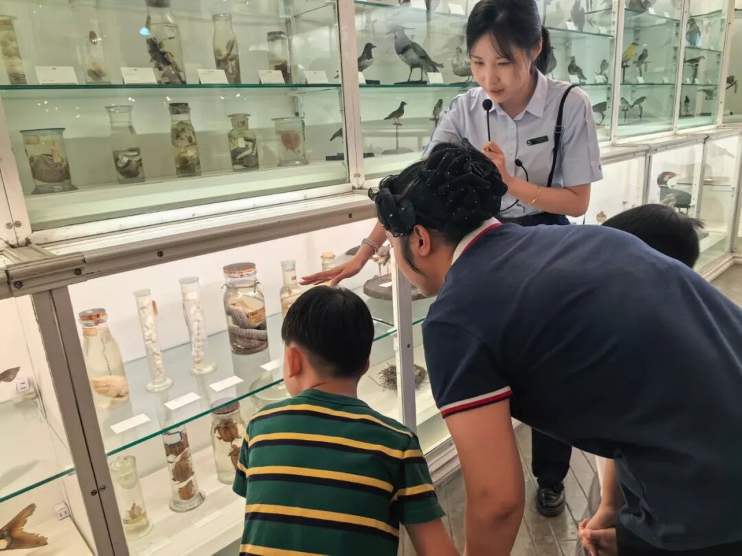 九九公益日特辑 | 非遗 + 博物馆研学·多方聚力守护特需儿童成长之旅相关图片16