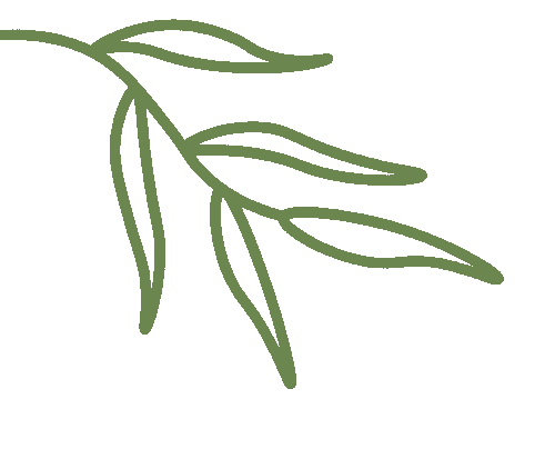 茶香里的职业课 | 心心语大龄班茶艺实训体验课相关图片6